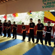 Copa La Salle de Kung Fu