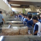 Museu de Paleontologia de Monte Alto