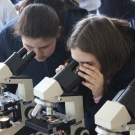 5º ano do EF constrói célula