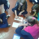 JOGO TABULEIRO SISTEMA DIGESTÓRIO HUMANO