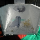 Feira sobre Taxonomia