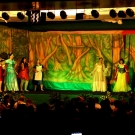 Musical Shrek 2014