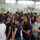 Museu de Paleontologia de Monte Alto 2