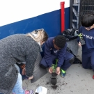 Semana do Meio Ambiente 2018