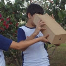 A EXPERIÊNCIA DA ARTE