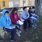 ESTUDANDO ATIVIDADES ECONÔMICAS