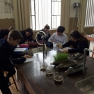 Simulando a Erosão Hídrica do Solo