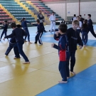 Campeonatos Esportivos no LSSA