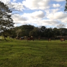 3º Ano faz visita a Zona Rural de Porto Alegre