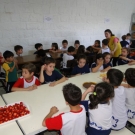 Tarde da fruta no palito na educação infantil!