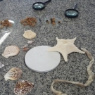 Laboratório de Ciências - Turma: 13