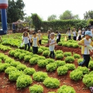 Atividade Ecológica 2015