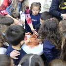 Semana do Pequeno Cientista - Ed. Infantil