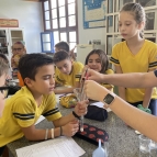 Experiências com fungos e bactérias no 4º ano