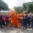 Aniversário de Pelotas