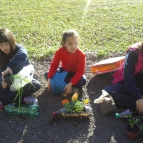 Estudantes dos 2ºs anos criam uma horta de temperos