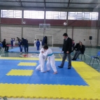 Festival de Judô reúne mais de 200 atletas no LSSA