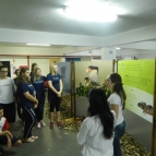 Visita a Mostra Bichos do Sul