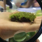 Aula Prática de Biologia