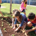 Alunos do Turno Integral cultivam hortaliças 