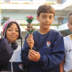 Arte indígena