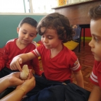 Os animais da Fazenda - Turmas da Creche