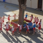 Dia da Árvore