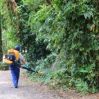 Todos no combate contra o Aedes Aegypti