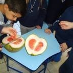 Qual o sabor de uma Toranja? O Pré 1 provou!