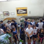 Museu de Paleontologia de Monte Alto