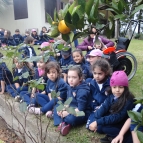 Pré II visita horta do Ir. Léo