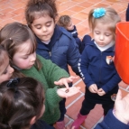 Turmas da Creche aprendem sobre as minhocas