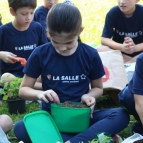 Atividade do 2º Ano do EF envolve plantio e fábula