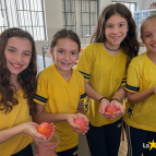 Experimento científico - 5º ano