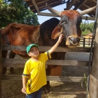 Visita à Fazendinha Rio