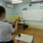 Tiro ao alvo da Taxonomia