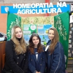 Alunos apresentam trabalho na MOSTRASEG