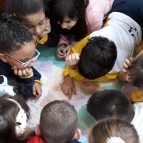 Pátria amada Brasil!