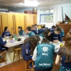 OBSERVAÇÃO DE PLANTAS ANGIOSPERMA