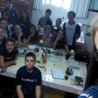 AULA PRÁTICA SOBRE VEGETAIS