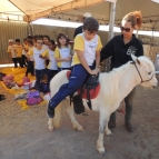 A Fazendinha