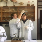 Alunos realizam experimento em Laboratório