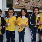 Atividade Seres Vivos - 1° ano