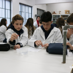 Aula prática no laboratório - 8º ano
