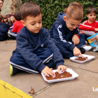 Projeto das Linhas e Traços