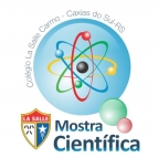 Alunos são selecionados para mostra do IFRS