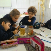Marshmallow e pipoca - 1ª Anos