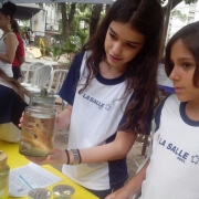 IV Feira Municipal de Ciência, Tecnologia e Inovação