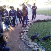 Visita ao Jardim Botânico