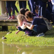 7° Anos descobrem o Jardim Botânico